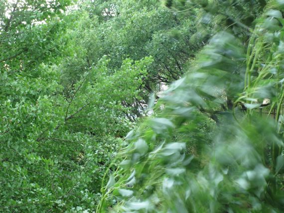 11090401.jpg